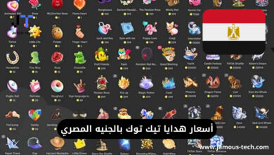 أسعار هدايا تيك توك بالجنيه المصري
